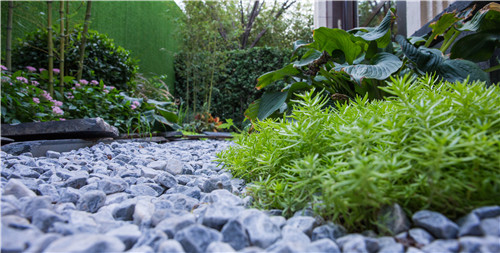 園冶杯專業獎:遠洋黃村頤璟萬和景觀設計