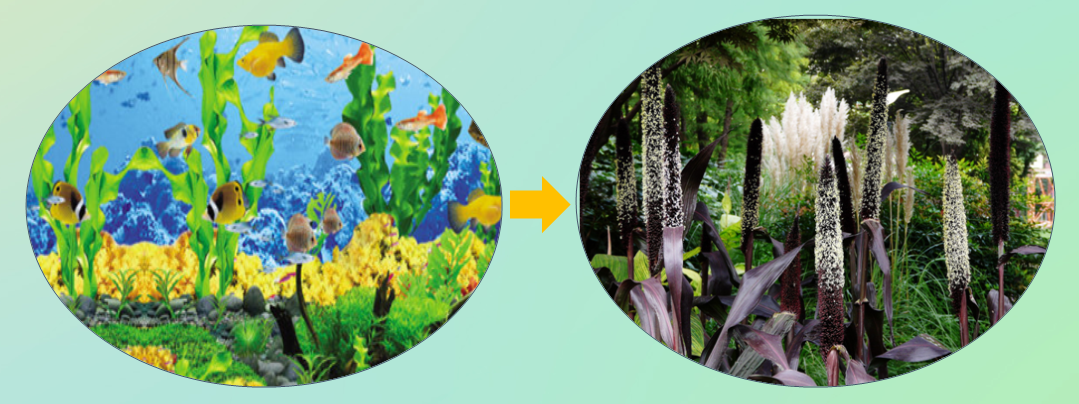 河北省園博會花境——“藍色”大海的傳說