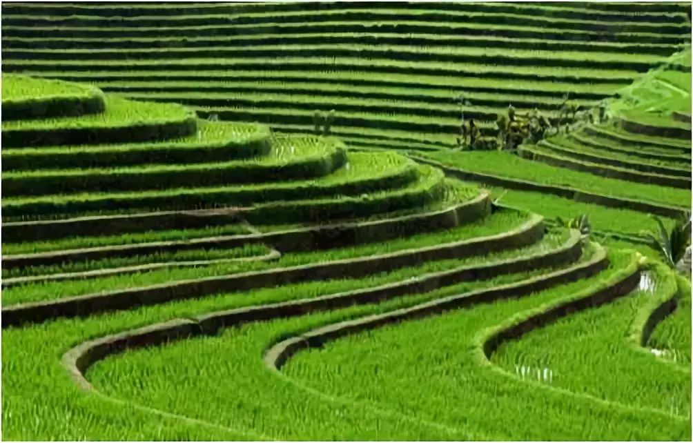 李建偉：美麗鄉(xiāng)村道