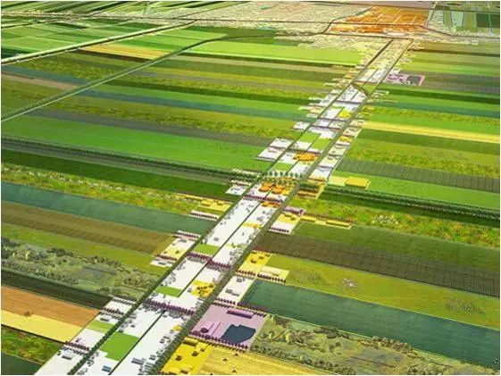 李建偉：美麗鄉(xiāng)村道