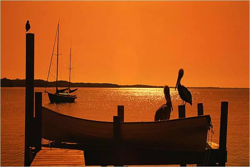 李建偉：美麗鄉(xiāng)村道