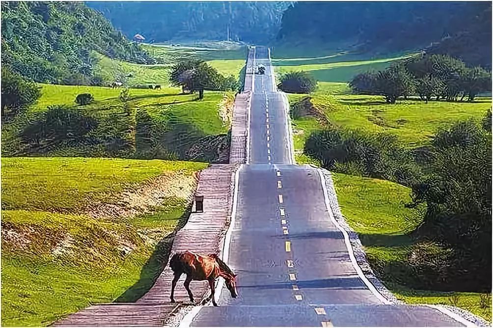 李建偉：美麗鄉(xiāng)村道