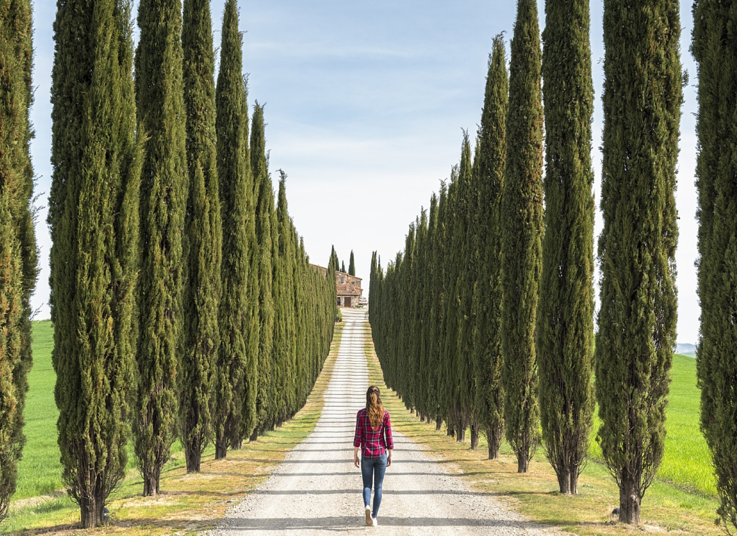 李建偉：美麗鄉(xiāng)村道