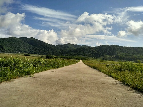 園冶杯專業獎:雅林村美麗鄉村綜合改造項目