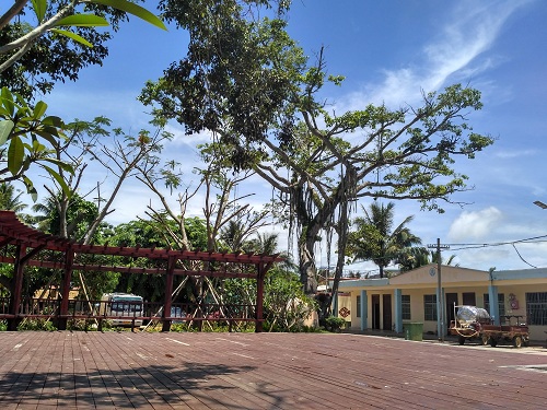 園冶杯專業獎:雅林村美麗鄉村綜合改造項目