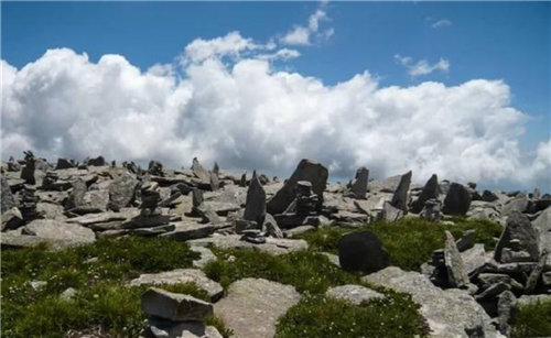河北省第二屆園博會花境作品——碣石仙臺