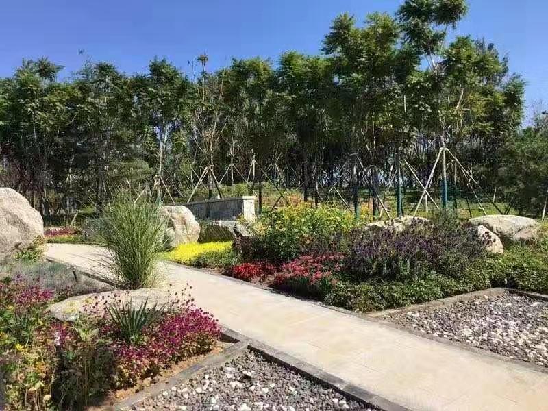 河北省第二屆園博會花境作品——碣石仙臺