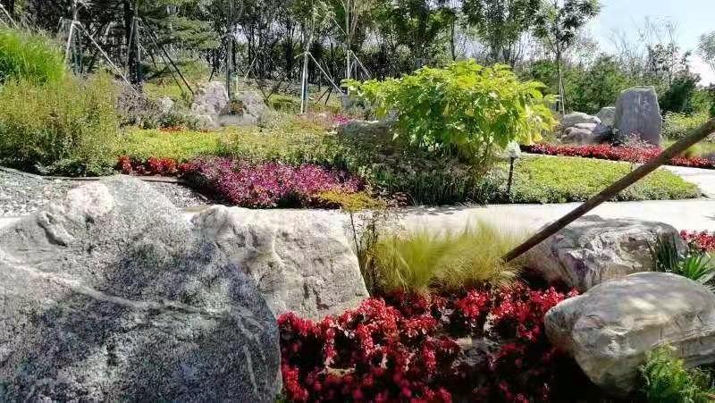 河北省第二屆園博會花境作品——碣石仙臺