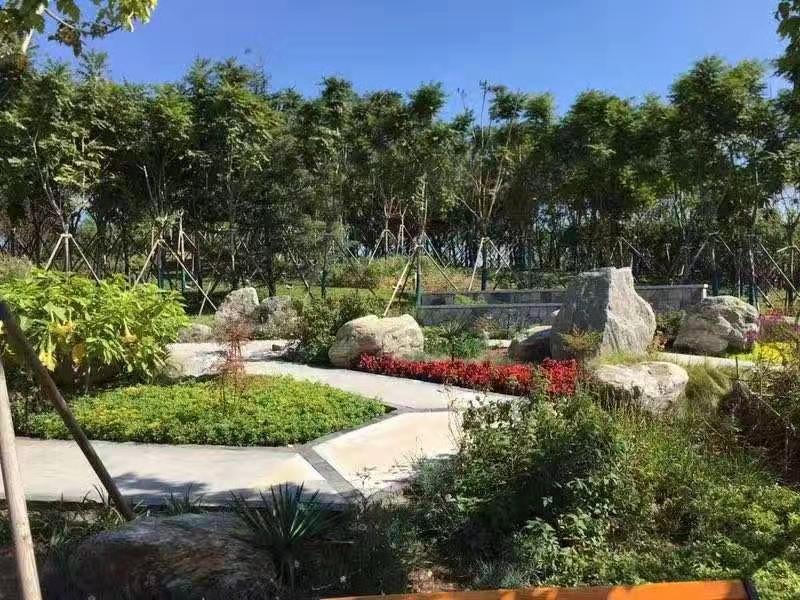 河北省第二屆園博會花境作品——碣石仙臺