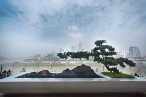 園冶杯專業獎:東原中央大街一期景觀工程