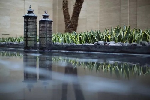 園冶杯專業獎:東原中央大街一期景觀工程