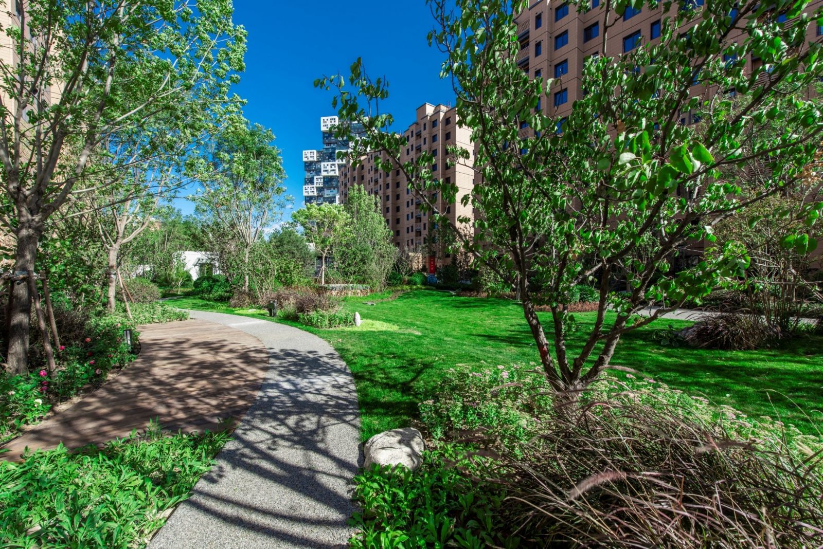 園冶杯專業(yè)獎:澤信公館項目景觀設計