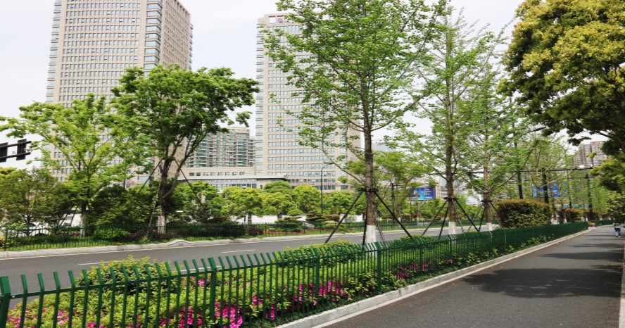 園冶杯專業獎:新塘路(新風路-新業路)綜合整治工程景觀綠化Ⅰ標段