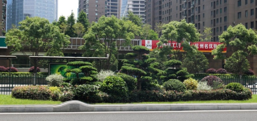 園冶杯專業獎:新塘路(新風路-新業路)綜合整治工程景觀綠化Ⅰ標段