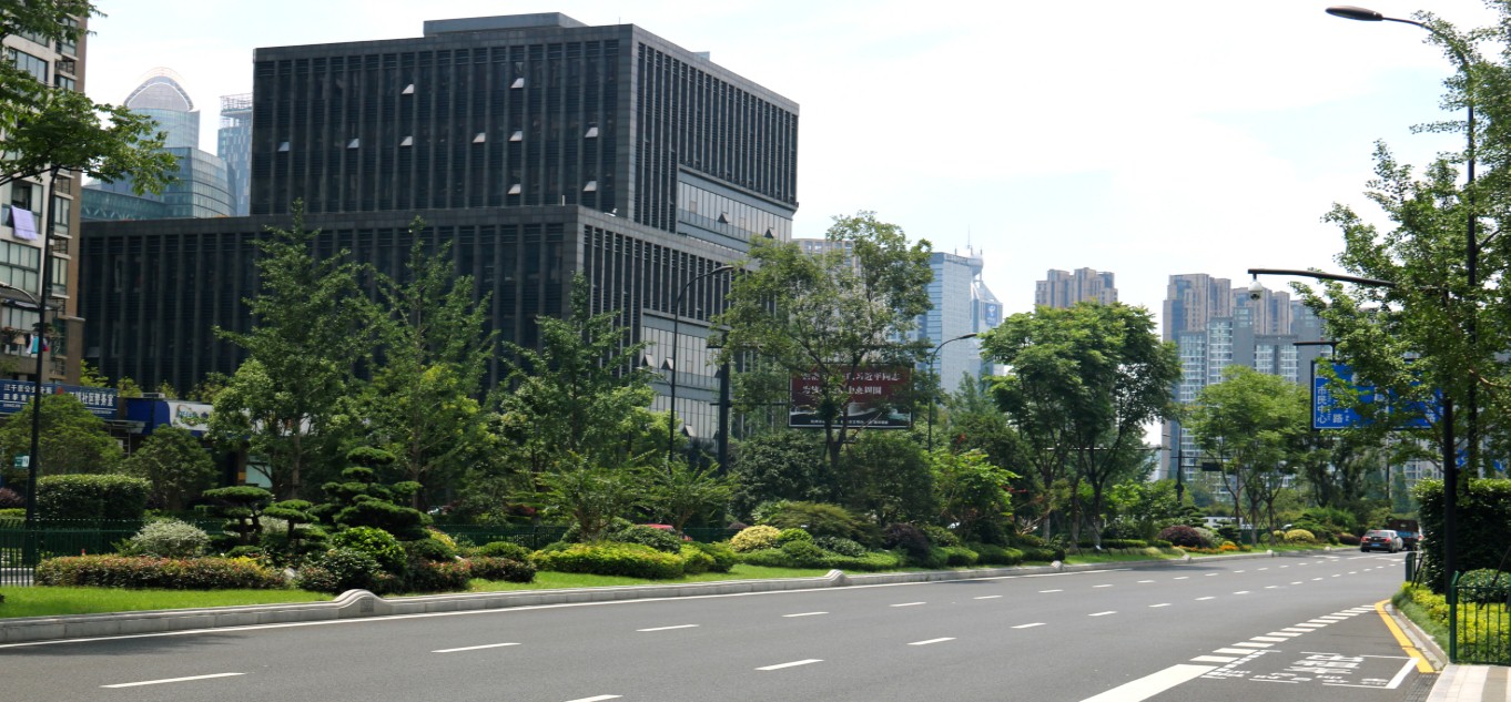 園冶杯專業獎:新塘路(新風路-新業路)綜合整治工程景觀綠化Ⅰ標段