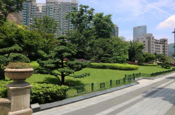 園冶杯專業獎:新塘路(新風路-新業路)綜合整治工程景觀綠化Ⅰ標段