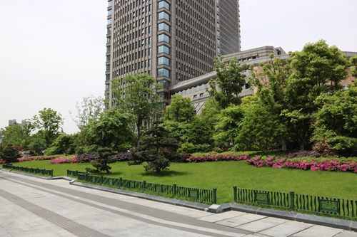 園冶杯專業獎:新塘路(新風路-新業路)綜合整治工程景觀綠化Ⅰ標段