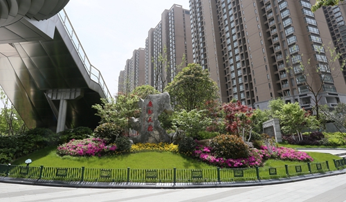 園冶杯專業獎:新塘路(新風路-新業路)綜合整治工程景觀綠化Ⅰ標段