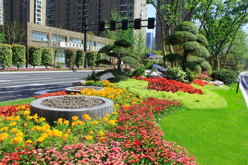 園冶杯專業獎:新塘路(新風路-新業路)綜合整治工程景觀綠化Ⅰ標段