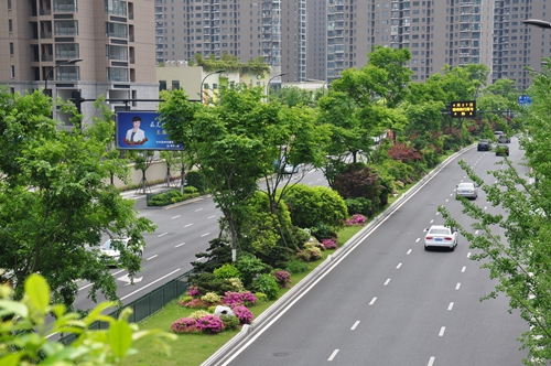 園冶杯專業獎：新塘路（新風路-新業路）綜合整治工程景觀綠化Ⅰ標段