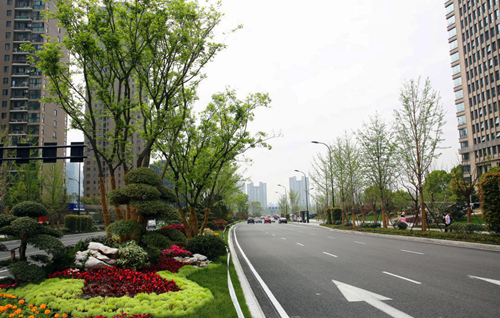 園冶杯專業獎:新塘路(新風路-新業路)綜合整治工程景觀綠化Ⅰ標段