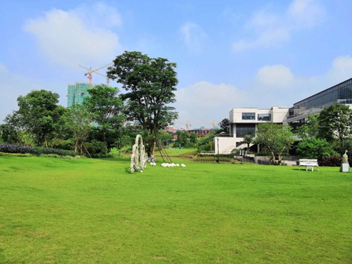 園冶杯專業獎:泰豐花園一期A標段展示區園林景觀工程