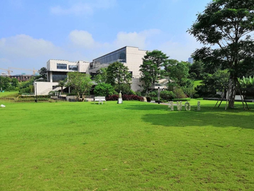 園冶杯專業獎:泰豐花園一期A標段展示區園林景觀工程