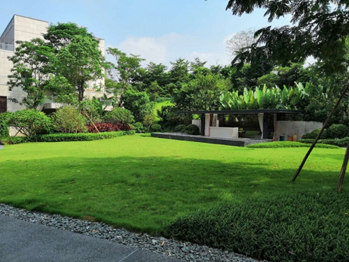 園冶杯專業獎:泰豐花園一期A標段展示區園林景觀工程