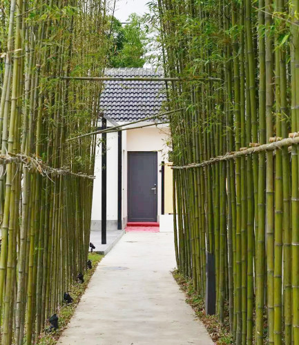 園冶杯專業獎:上海川沙馨廬精品民宿景觀設計