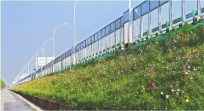 武漢:閑置用地將這樣變身百萬平方米花海