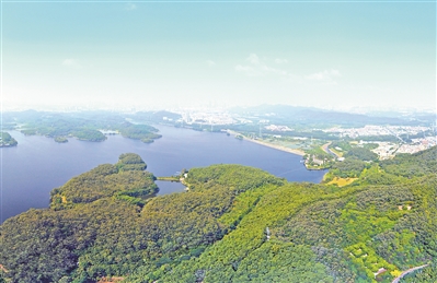 東莞城市設計:造“翡翠項鏈”建活力城區