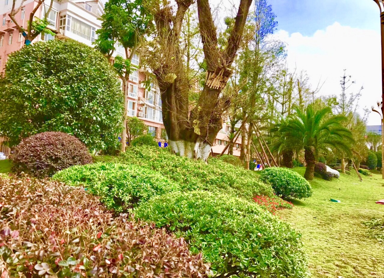 園冶杯專業(yè)獎(jiǎng):資陽(yáng)市嬌子大道綜合整治建設(shè)工程-節(jié)點(diǎn)景觀提升