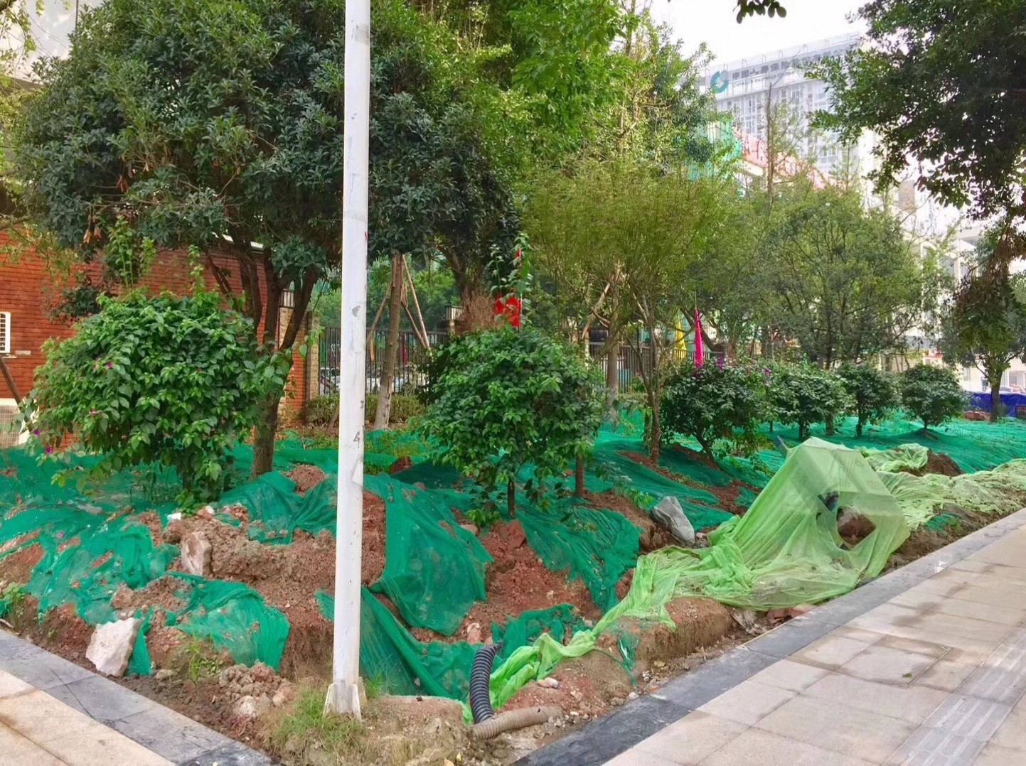 園冶杯專業(yè)獎(jiǎng):資陽(yáng)市嬌子大道綜合整治建設(shè)工程-節(jié)點(diǎn)景觀提升