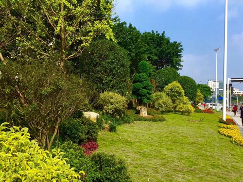 園冶杯專業(yè)獎(jiǎng):資陽(yáng)市嬌子大道綜合整治建設(shè)工程-節(jié)點(diǎn)景觀提升