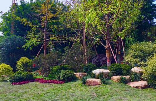 園冶杯專業(yè)獎(jiǎng):資陽(yáng)市嬌子大道綜合整治建設(shè)工程-節(jié)點(diǎn)景觀提升