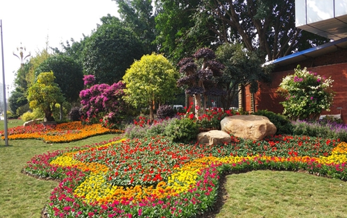 園冶杯專業(yè)獎(jiǎng):資陽(yáng)市嬌子大道綜合整治建設(shè)工程-節(jié)點(diǎn)景觀提升