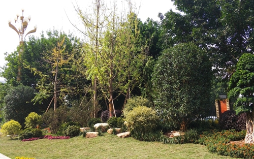 園冶杯專業(yè)獎(jiǎng):資陽(yáng)市嬌子大道綜合整治建設(shè)工程-節(jié)點(diǎn)景觀提升