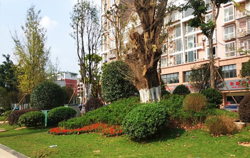 園冶杯專業(yè)獎(jiǎng):資陽(yáng)市嬌子大道綜合整治建設(shè)工程-節(jié)點(diǎn)景觀提升