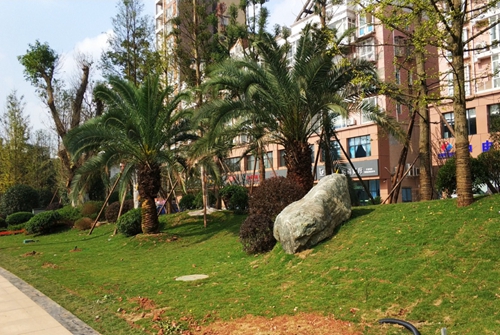 園冶杯專業(yè)獎(jiǎng):資陽(yáng)市嬌子大道綜合整治建設(shè)工程-節(jié)點(diǎn)景觀提升