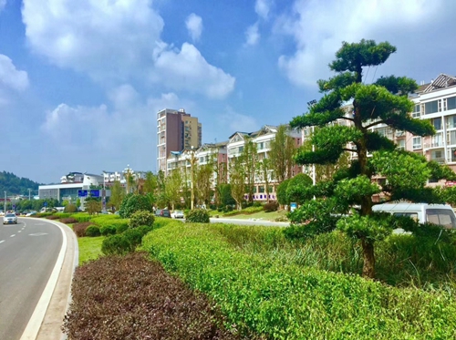 園冶杯專業(yè)獎(jiǎng):資陽(yáng)市嬌子大道綜合整治建設(shè)工程-節(jié)點(diǎn)景觀提升