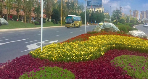 園冶杯專業(yè)獎(jiǎng):資陽(yáng)市嬌子大道綜合整治建設(shè)工程-節(jié)點(diǎn)景觀提升