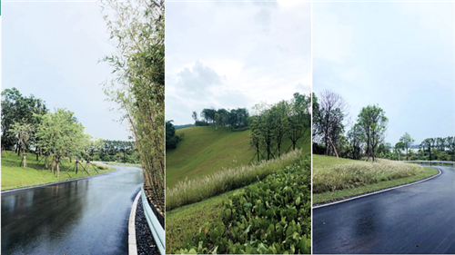 園冶杯專業(yè)獎(jiǎng):保利江門?云上西棠田園綜合體示范區(qū)