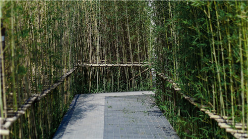 園冶杯專業(yè)獎(jiǎng):保利江門?云上西棠田園綜合體示范區(qū)