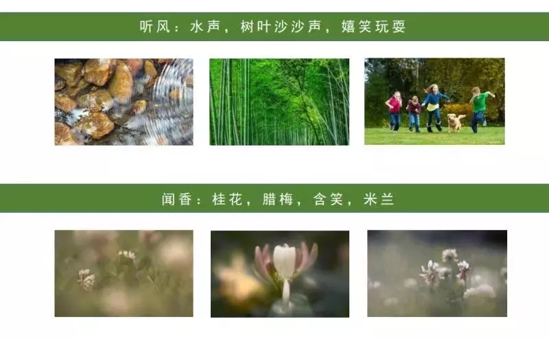 園冶杯專業獎:聯投·棲夢臺示范區