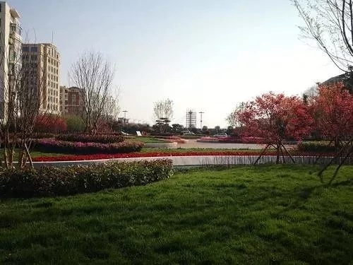 園冶杯專業獎:青島市普寧路游園景觀工程