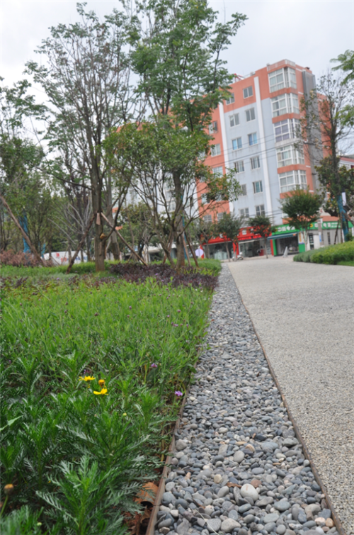 云南省第一座會呼吸的“海綿體育公園”