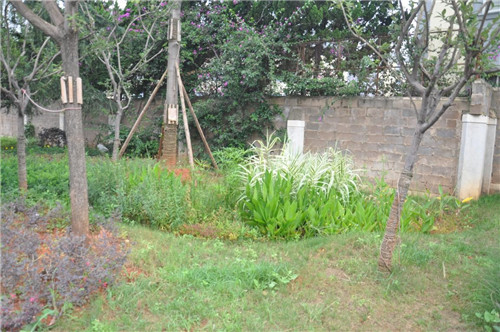 云南省第一座會呼吸的“海綿體育公園”