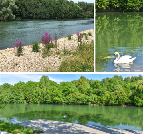 園冶杯專業(yè)獎：大諾瓦西市馬恩河岸