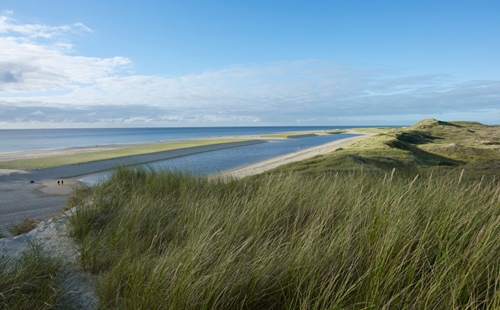 園冶杯專業(yè)獎:新Hondsbossche-Pettemer海防防洪堤