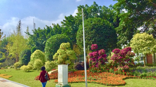 園冶杯專業(yè)獎(jiǎng):資陽(yáng)市嬌子大道綜合整治建設(shè)工程-節(jié)點(diǎn)景觀提升